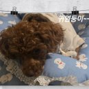 성북미싱 이미지