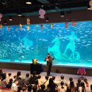 대전보성초교+대전대문초교 이미지