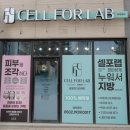 라라뷰티 이미지