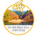 팔공산올레길 8코스 이미지