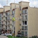 중앙동로 이미지