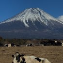 가주목장 이미지