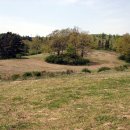 광일목장 이미지