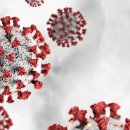 도고면로 이미지