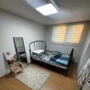 서진늘해랑 이미지