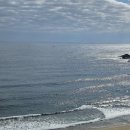 송정푸드마켓 | [공지] [양양] 1박 2일 여행-송이버섯마을, 배배 젤라또, 로컬푸드 직판장 (Day2)