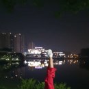 승리태권도체육관 이미지