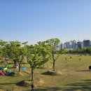 그늘막131 | 부산시민공원 잔디밭도서관 잔디광장 빈백 피크닉 텐트