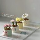 위드 송 | 분당 야탑 레터링케이크 카페위드송 : 화분 한입케이크 주문제작 후기 •_&lt;🌼