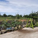 덕암농원 이미지