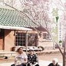 세오단