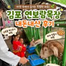 보람목장 | 김포 연보람 목장 내돈내산 후기