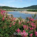 꽃길따라 이미지