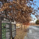 남천공원 이미지