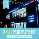 웰튼동물의료센터 | 중구 황학동 동물병원 웰튼동물의료센터 위치 오는길 후기