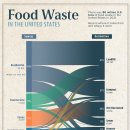 시각화: 미국의 음식물 쓰레기 이미지