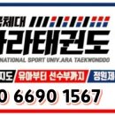 국가대표 아라태권도 이미지