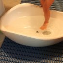 예주목욕탕 이미지