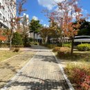 나성펫동물병원 이미지