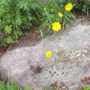 청심병원 이미지