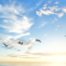 호텔(HOTEL)801 이미지