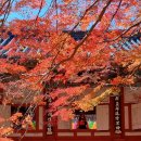 추도명진민박 이미지