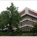 부산대학교 티스토리