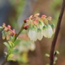 미래농장2 이미지