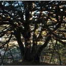 답곡리마을 이미지