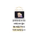 송파나루(카페고고스) 화장실 | [송파나루역 뷰클런즈 카페 추천] 커피 맛집