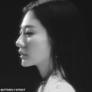 내세상 이미지