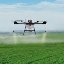 행정사법인 청효 이미지