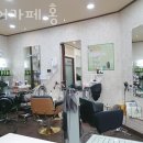 헤어카페홍