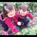 무내미농장 이미지