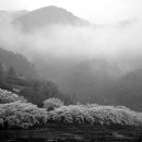 개화펜션 이미지