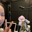 데일리스튜디오 이미지