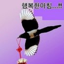 📹국가 군사 비밀! 11월 24일 19:00 [속보] 한국은 미구, 러시아보다 한 발 앞서 있어요! 4세대 원자로를 갖춘 한국 잠 이미지