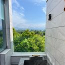 에다모니아 이미지