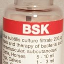 비에스케이(BSK) 이미지