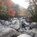 오름목장 Daum카페