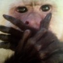 마음의 산책3 이미지