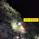강구종합정비 서울신문