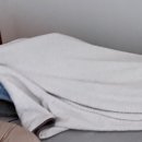 펫프닝 타운 이미지