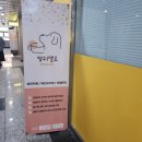 멍쉬멜로 이미지