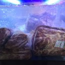 동암목장 이미지