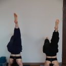 요가 | [양산요가/물금요가/증산요가] 2월 7일 꽁쌤과 함께한 Cyoga 특강
