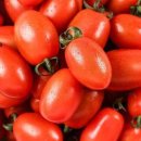 토마토 이미지