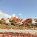 숭렬당 공원