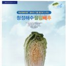 청정절임 Daum카페