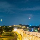 하늘하개 이미지